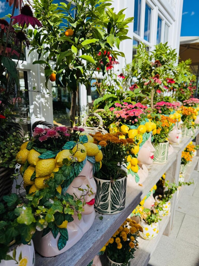 Bunte Blumen auf der Isarterrasse